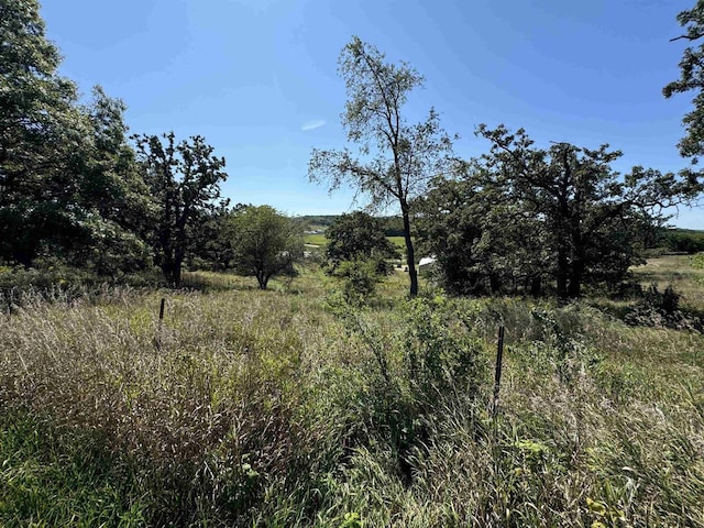 view of landscape