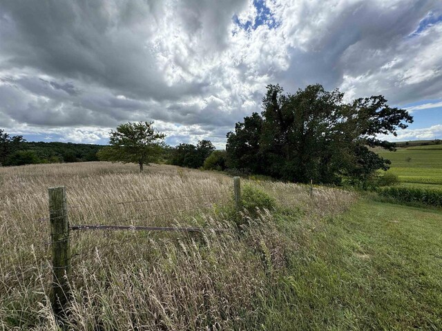 view of local wilderness with a rural view