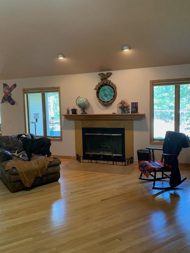 living room with hardwood / wood-style floors