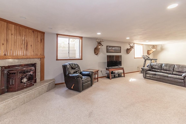 living room featuring a wood stove and carpet floors