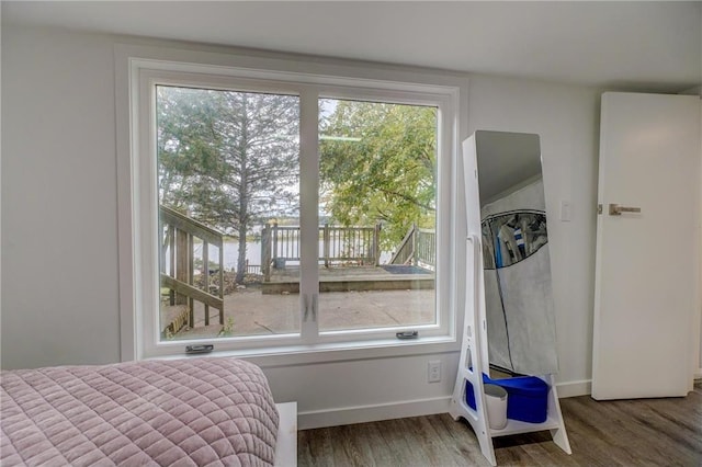 bedroom with a water view, multiple windows, and wood-type flooring