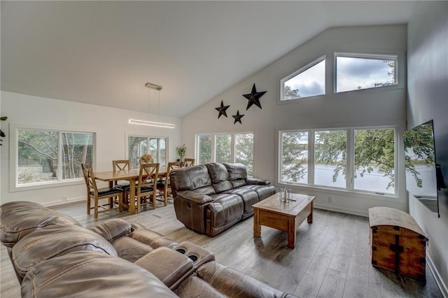 living room featuring high vaulted ceiling, a wealth of natural light, and hardwood / wood-style floors