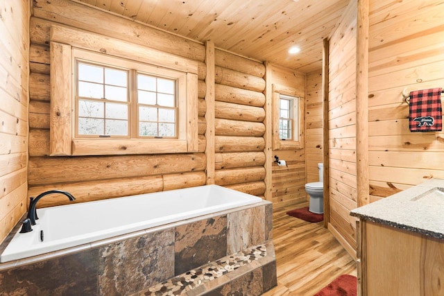 bathroom with toilet, vanity, a bath, and a wealth of natural light