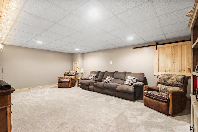 living room featuring carpet, a drop ceiling, and a barn door