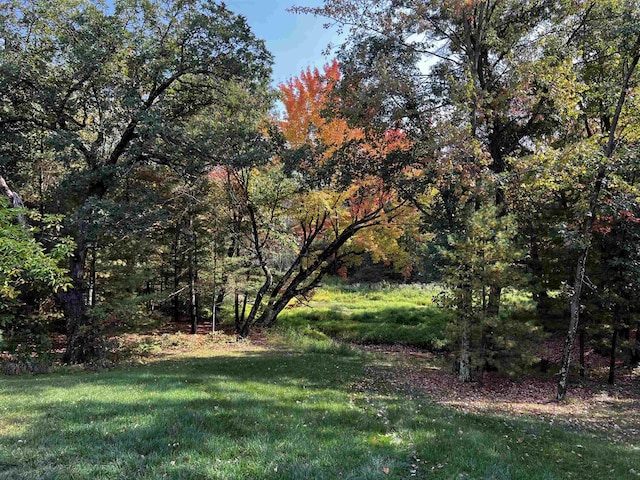 view of local wilderness