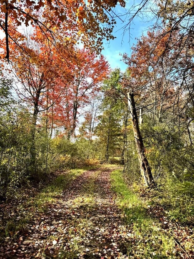 view of nature