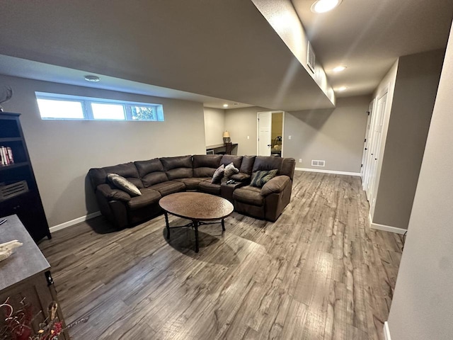 living room featuring wood-type flooring