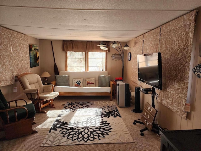 sitting room with carpet floors