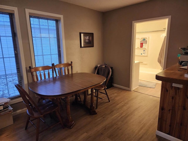 dining room featuring wood-type flooring