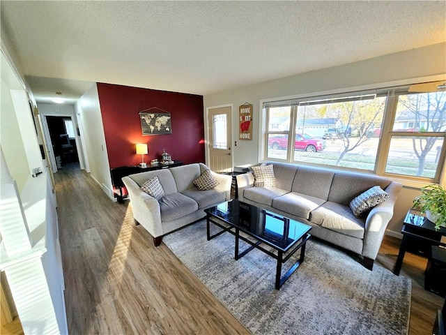 living room with wood-type flooring and a textured ceiling