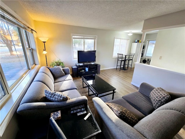 living room featuring hardwood / wood-style floors and a textured ceiling