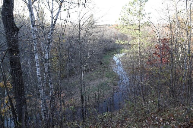 view of local wilderness