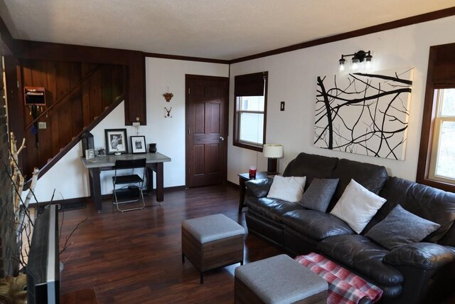 living room featuring crown molding and dark hardwood / wood-style flooring