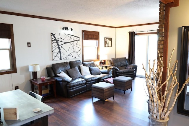 living room with crown molding, a textured ceiling, and dark hardwood / wood-style floors