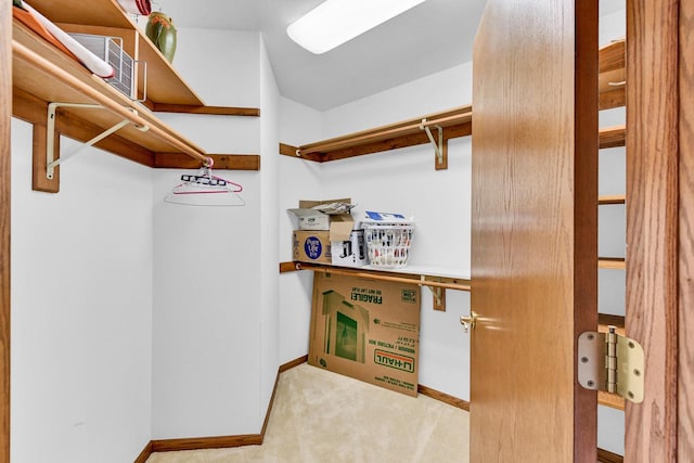 walk in closet featuring light carpet