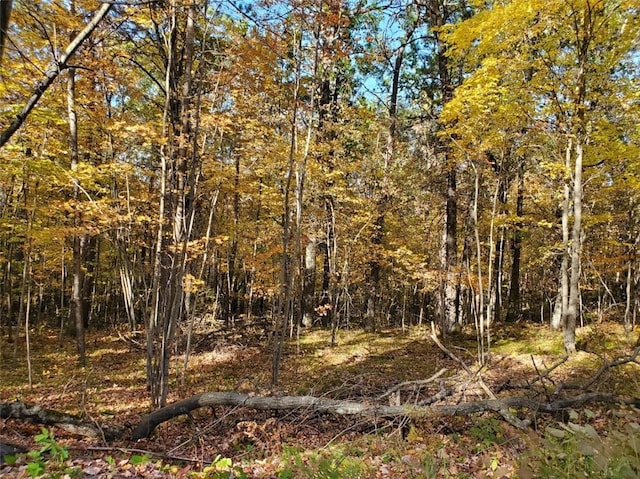 LOTS15-18.5 265th Ave, Holcombe WI, 54745 land for sale