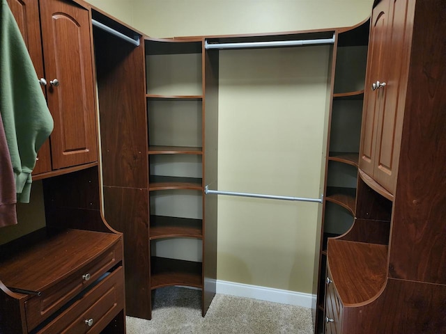 spacious closet with light carpet