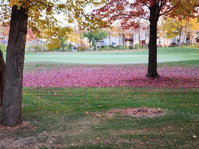 view of property's community with a yard