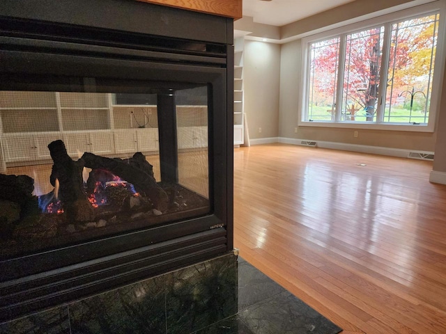 details featuring wood-type flooring and a multi sided fireplace