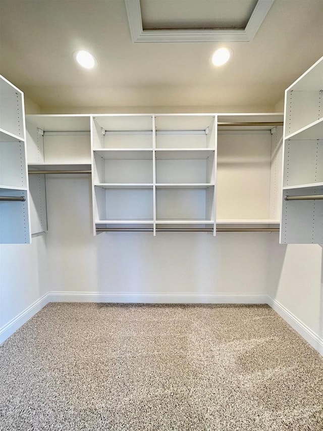 walk in closet with carpet floors