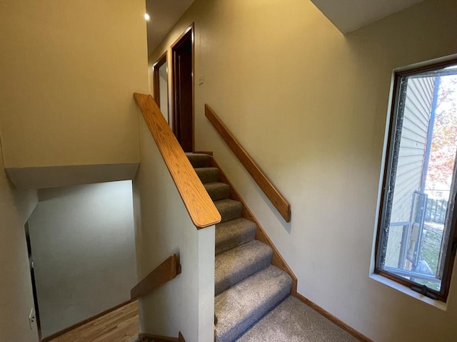 staircase with wood-type flooring