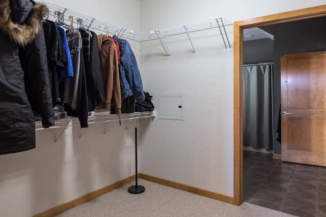 walk in closet with electric panel