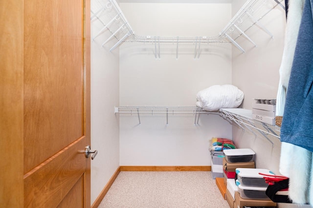 walk in closet featuring light carpet