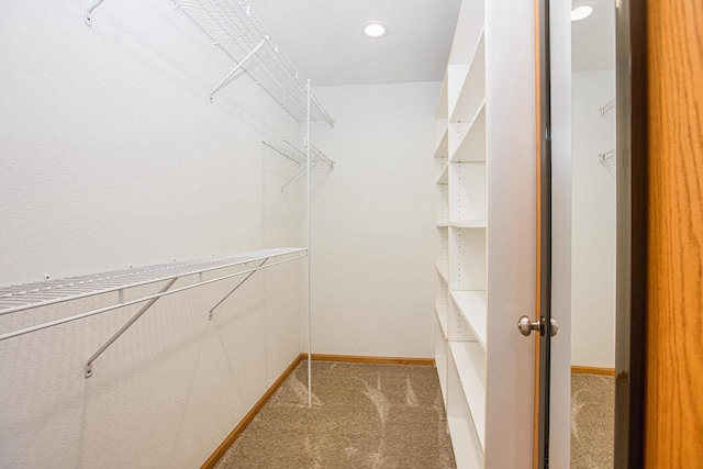 walk in closet with carpet floors