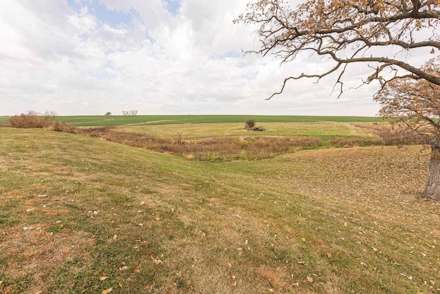 view of yard with a rural view