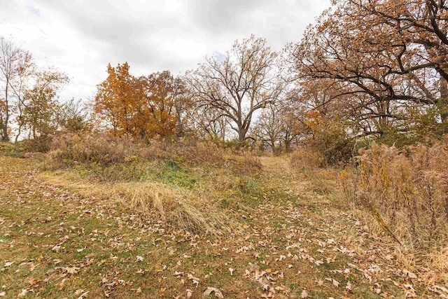 view of landscape