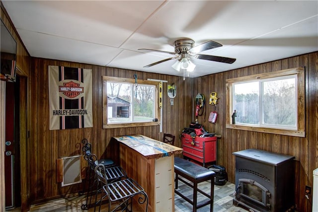 misc room featuring a healthy amount of sunlight and wooden walls