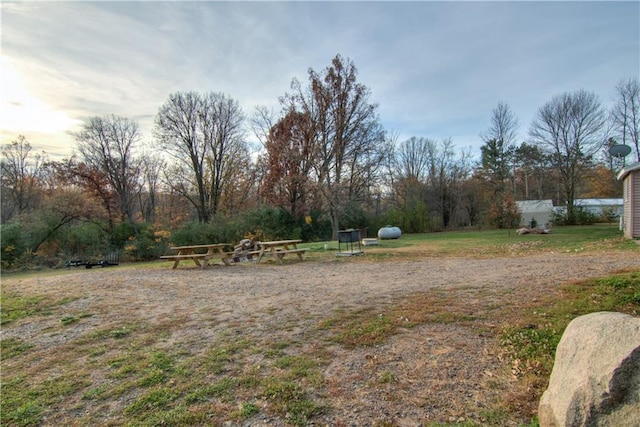 view of yard at dusk