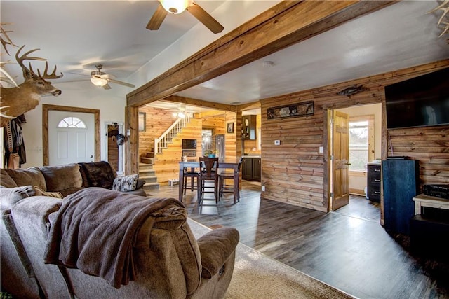 living room with wood walls, dark hardwood / wood-style floors, beamed ceiling, and ceiling fan