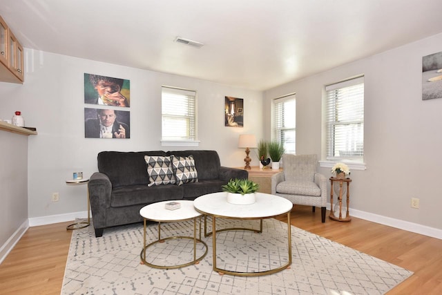 living room featuring hardwood / wood-style floors