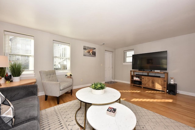 living room with wood-type flooring