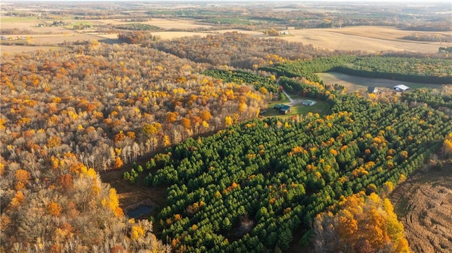 drone / aerial view with a rural view