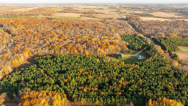 bird's eye view featuring a rural view