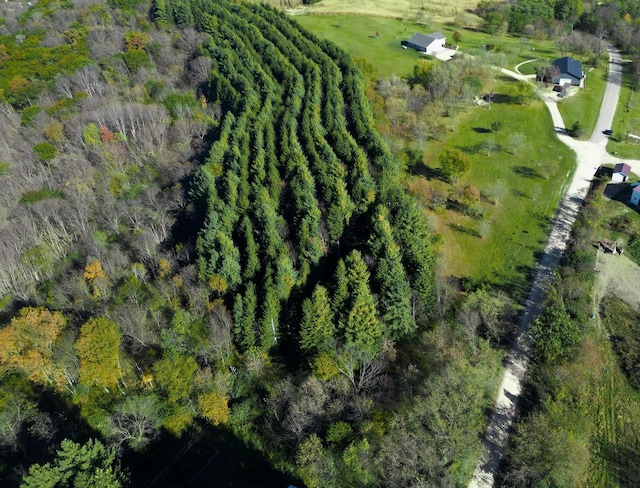 bird's eye view with a rural view