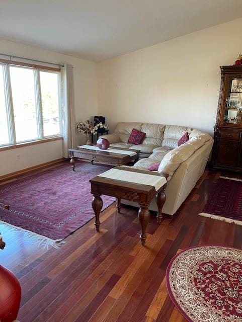 living room featuring dark wood-type flooring