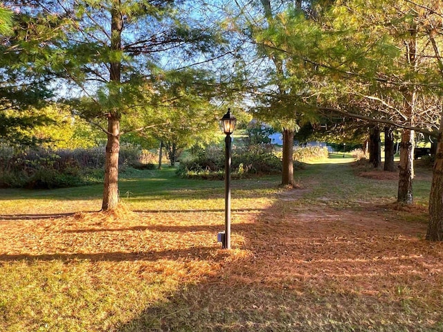 6848 Moonlight Cir, Sun Prairie, WI 53590 - view of community featuring a yard