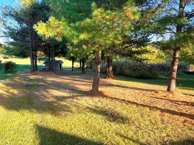 6848 Moonlight Cir, Sun Prairie, WI 53590 - view of grassy yard