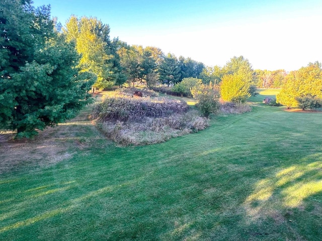 view of yard featuring a rural view