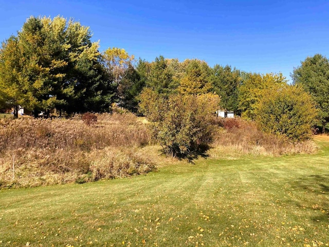 6848 Moonlight Cir, Sun Prairie, WI 53590 - view of green lawn