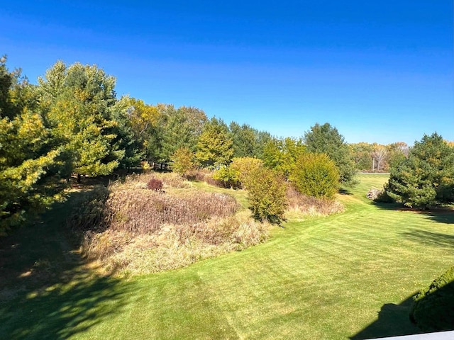 6848 Moonlight Cir, Sun Prairie, WI 53590 - view of green lawn