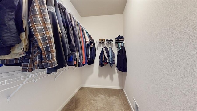 spacious closet with light carpet