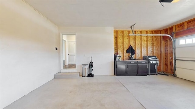 garage featuring wooden walls