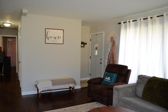 living room featuring dark wood-type flooring