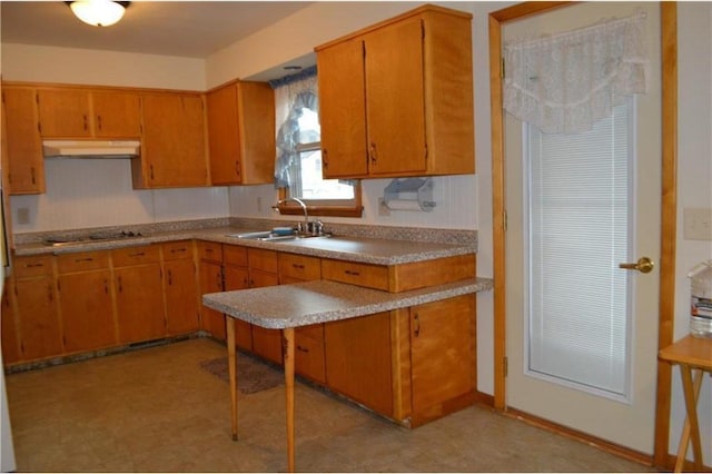 kitchen featuring sink and stovetop