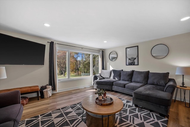 living room featuring hardwood / wood-style flooring