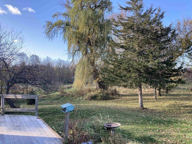 view of yard featuring a deck